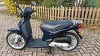 Honda Scoopy sh50 B Klasse Rijklaar met papieren, Autres modèles, 1 vitesses, Enlèvement ou Envoi, 49 cm³