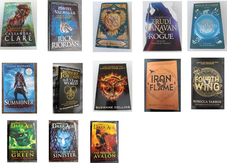 Verschillende ENG YA, Fantasy etc boeken, Boeken, Fantasy, Zo goed als nieuw, Ophalen