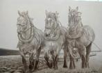 olieverfschilderij Drie Brabantse Trekpaarden, Ophalen of Verzenden