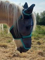 Cheval, Animaux & Accessoires, Chevaux