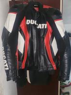 Veste Ducati, Motoren