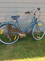 Damesfiets, Fietsen en Brommers, Fietsaccessoires | Aanhangwagens en Karren, Ophalen, Gebruikt