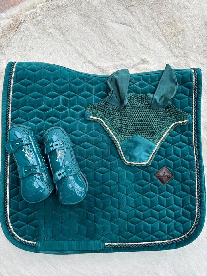 Kentucky set bamboo shield peesbeschermers,dekje en oornetje, Dieren en Toebehoren, Paarden en Pony's | Dekens en Dekjes, Zo goed als nieuw