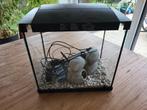 Aquarium, Ophalen, Gebruikt, Leeg aquarium