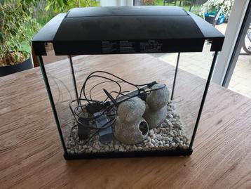Aquarium  beschikbaar voor biedingen