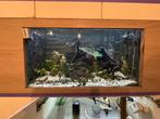 Aquarium + bioloog filter, Dieren en Toebehoren, Ophalen, Zo goed als nieuw