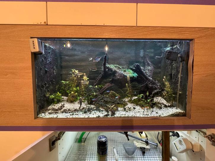 Aquarium + bioloog filter, Dieren en Toebehoren, Vissen | Aquaria en Toebehoren, Zo goed als nieuw, Ophalen