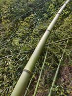 Bamboo wortel 5 euro per handvol, Ophalen of Verzenden
