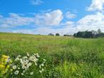 Tenneville: bouwgrond, 21a 06ca, rustig., Tenneville, 1500 m² of meer