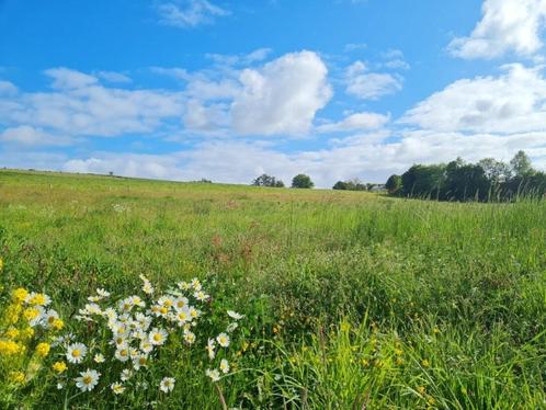 Tenneville: bouwgrond, 21a 06ca, rustig., Immo, Gronden en Bouwgronden, 1500 m² of meer