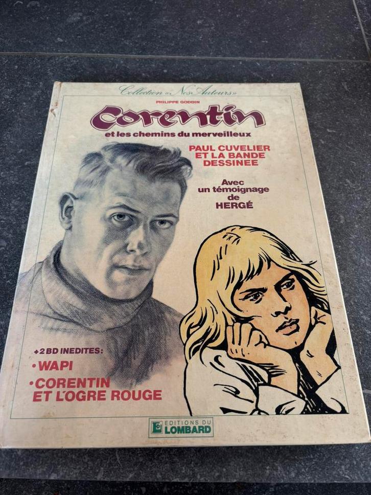 Corentin en de paden van het wonderlijke — Philippe Goddin, Boeken, Stripverhalen, Gelezen, Eén stripboek, Ophalen of Verzenden