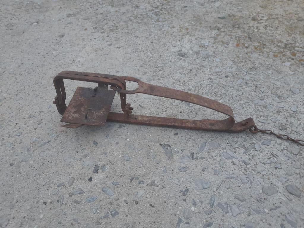 GEZOCHT: antieke klem, Enlèvement