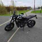 Yamaha XSR 900, Motoren, Motoren | Yamaha, Particulier, Naked bike, 900 cc, 3 cilinders