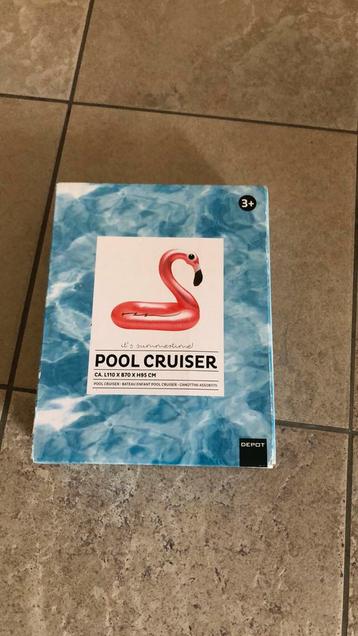 Pool Cruiser 