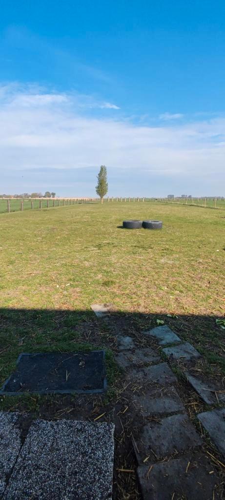 Weide te huur, Dieren en Toebehoren, Stalling en Weidegang