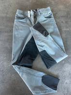 Grijze paardrijbroek, Dieren en Toebehoren, Paardrijkleding, Gebruikt, Onderkleding, Dames, Dressuur