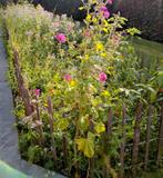 Kastanjehouten omheining schapenhek, Tuin en Terras, Gaas en Draad, Ophalen, Gebruikt, 20 meter of meer, Overige typen