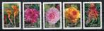 Timbres-poste d'Australie - K 3583 - fleurs, Envoi, Affranchi