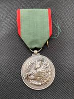 Lot 31: medaille, Ophalen of Verzenden