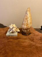 Brocante schelpen, Antiek en Kunst, Ophalen