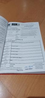 Mooie c pony, Dieren en Toebehoren, Pony's, Gechipt, B, Ruin, C pony (1.27m tot 1.37m)