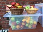 Lot de fruits en bois, Ophalen, Zo goed als nieuw