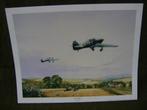 Poster "The reapers"., Verzamelen, Militaria | Tweede Wereldoorlog, Ophalen of Verzenden, Luchtmacht, Foto of Poster