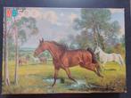 MB puzzel paarden 500 stuks, Hobby en Vrije tijd, Ophalen, 500 t/m 1500 stukjes, Gebruikt, Legpuzzel