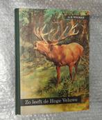 Zo leeft de hoge Veluwe, Boeken, Ophalen of Verzenden, Plaatjesalbum