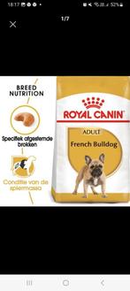 Royal Canin 9kg French bulldog, Animaux & Accessoires, Nourriture pour Animaux, Chien, Enlèvement