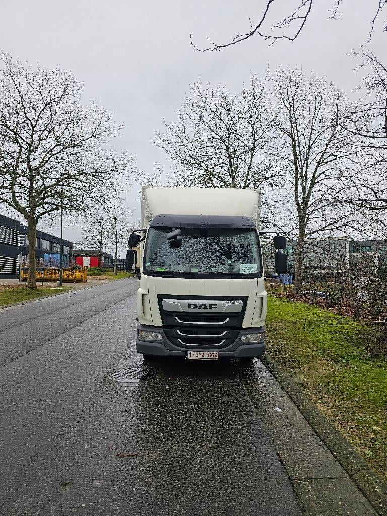 Daf lf 220, Ophalen of Verzenden