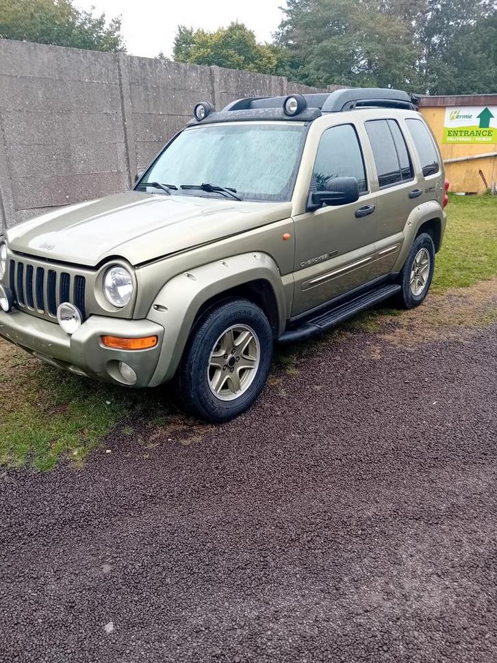 Jeep lichte vracht, Auto's, Jeep, Particulier, Automaat, Ophalen