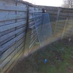 Hondenren, Enlèvement