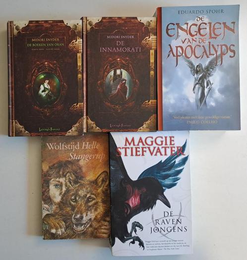 Boeken Fantasy & Science Fiction (2), Boeken, Fantasy, Gelezen, Ophalen of Verzenden
