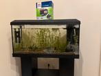Aquarium Juwel Primo 110 avec mobilier, Animaux & Accessoires, Poissons | Aquariums & Accessoires, Enlèvement, Utilisé, Aquarium vide