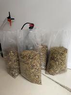 4 zakken Houtsnippers / haksel van plataan en lindenboom, Tuin en Terras, Ophalen