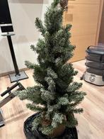 Kerstboom, Ophalen