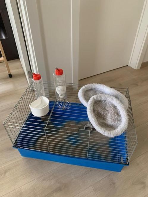 Hamsterkooi, Dieren en Toebehoren, Knaagdieren en Konijnen | Hokken en Kooien, Gebruikt, Kooi, Minder dan 60 cm, Minder dan 75 cm