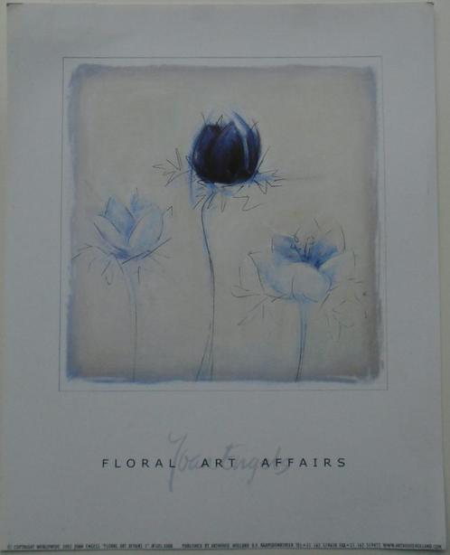 POSTER 25x20 cm BLOEMEN EN HUIS DECO 11 stuks NIEUW, Huis en Inrichting, Woonaccessoires | Schilderijen, Tekeningen en Foto's