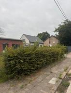 9M haagbeuk, Ophalen