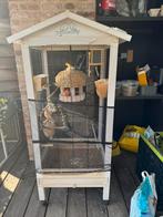 Vogelkooi met 1 kanarie €100, Dieren en Toebehoren, Ophalen, Zo goed als nieuw, Vogelkooi