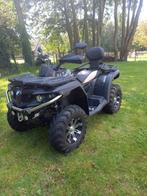 Quad 4x4 CF-motto cforce 550, Motoren