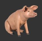 Sitting Piglet – Varken beeld - Big Lengte 38 cm, Verzamelen, Ophalen, Nieuw