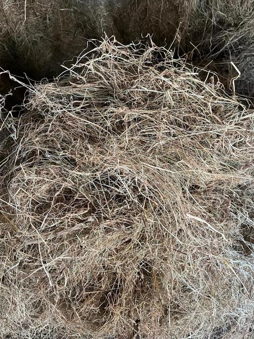 Droog voordroog te koop, Dieren en Toebehoren, Paarden