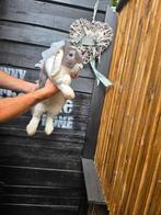 Nederlandse hangoor- gevacineerd- 9maand, Dieren en Toebehoren, Hangoor