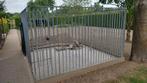 Hondenren, Dieren en Toebehoren, Ophalen, 100 cm of meer, Hondenhok, 110 cm of meer