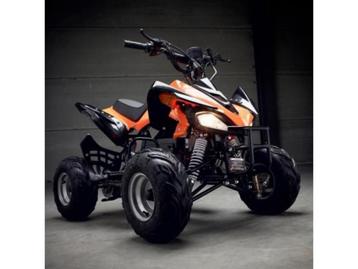electrische quad cardan 1000 watt48 volt instelbare snelheid beschikbaar voor biedingen