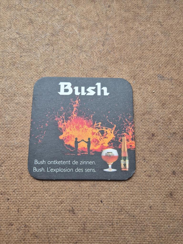 Sous bock Bush Beer (modèle 4), Collections, Enlèvement ou Envoi, Utilisé, Sous-bock, Autres marques