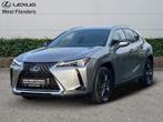 Lexus UX 250h Business Line+cam+nav+sens V&A, Auto's, Lexus, Automaat, Overige kleuren, Overige brandstoffen, 184 pk