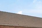 RBB gevelpannen bruin, Doe-het-zelf en Bouw, Dakpannen en Dakbedekking, Ophalen, Dakpannen